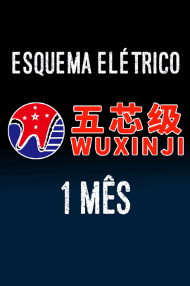 WUXINJI (ESQUEMA ELÉTRICOS) – 1 MÊS